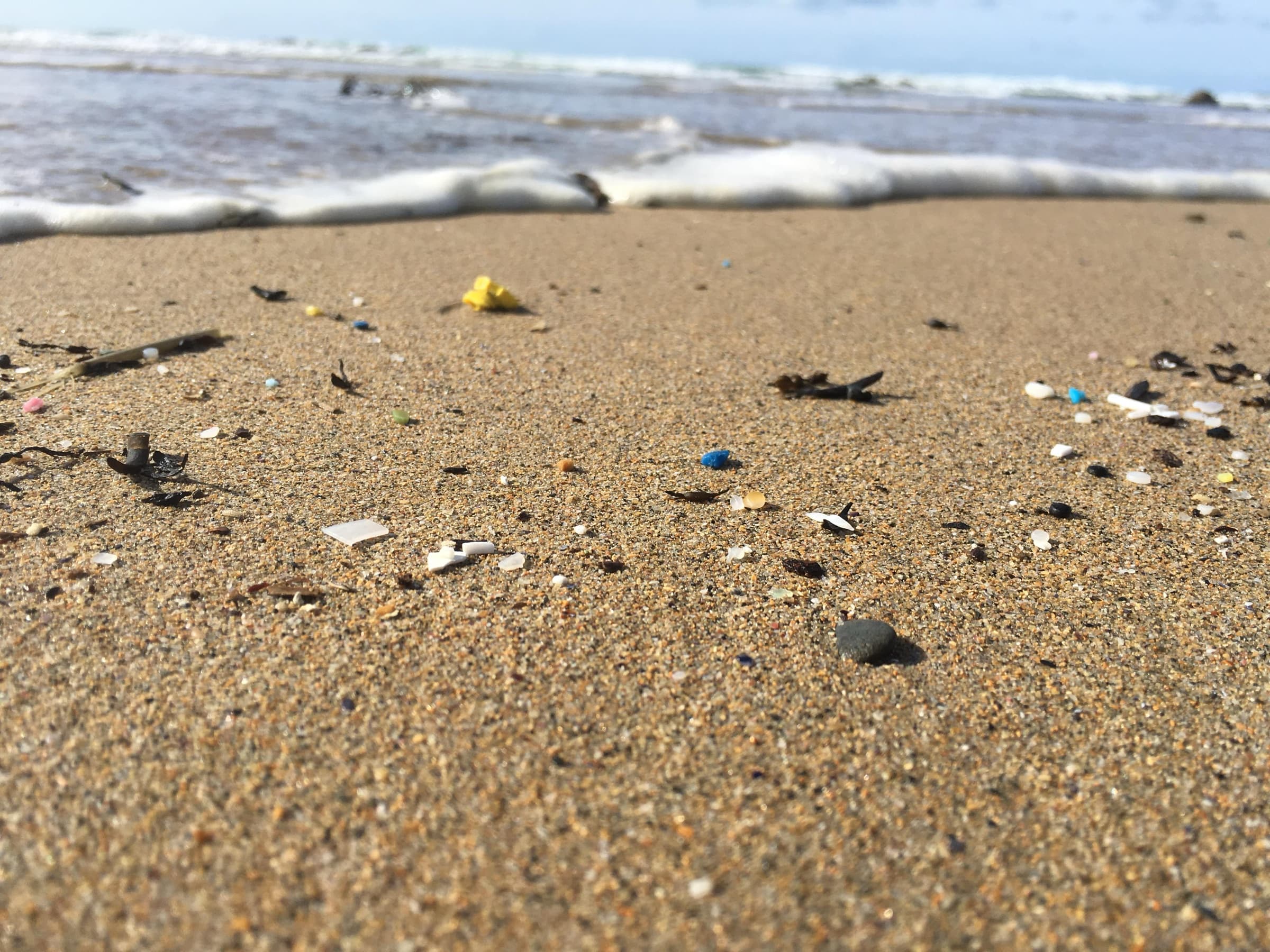 Coloured plastic fragments and pellets scattered across beach sand at the waterline