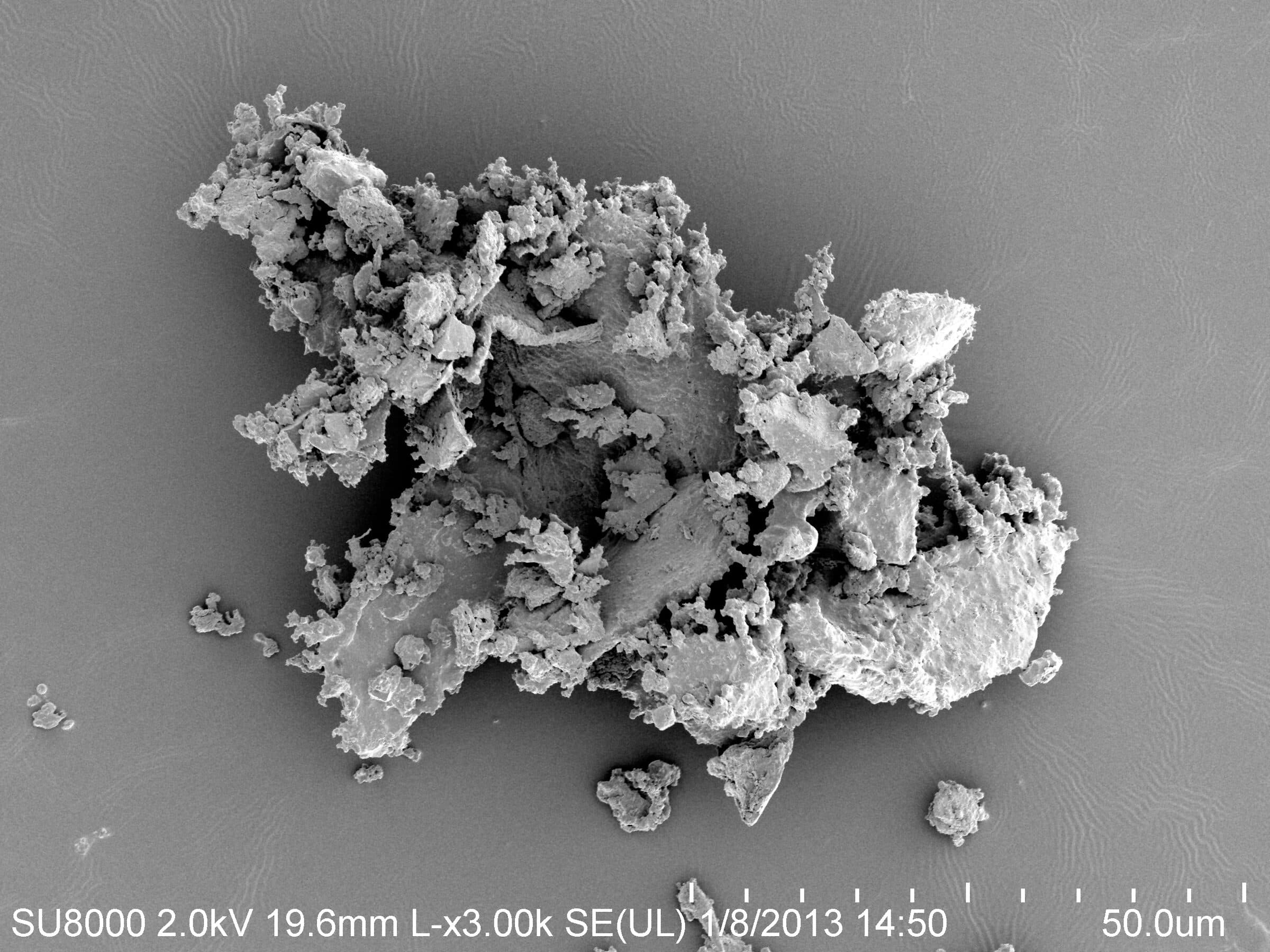 Scanning electron microscope image of a clump of household dust at micrometre scale