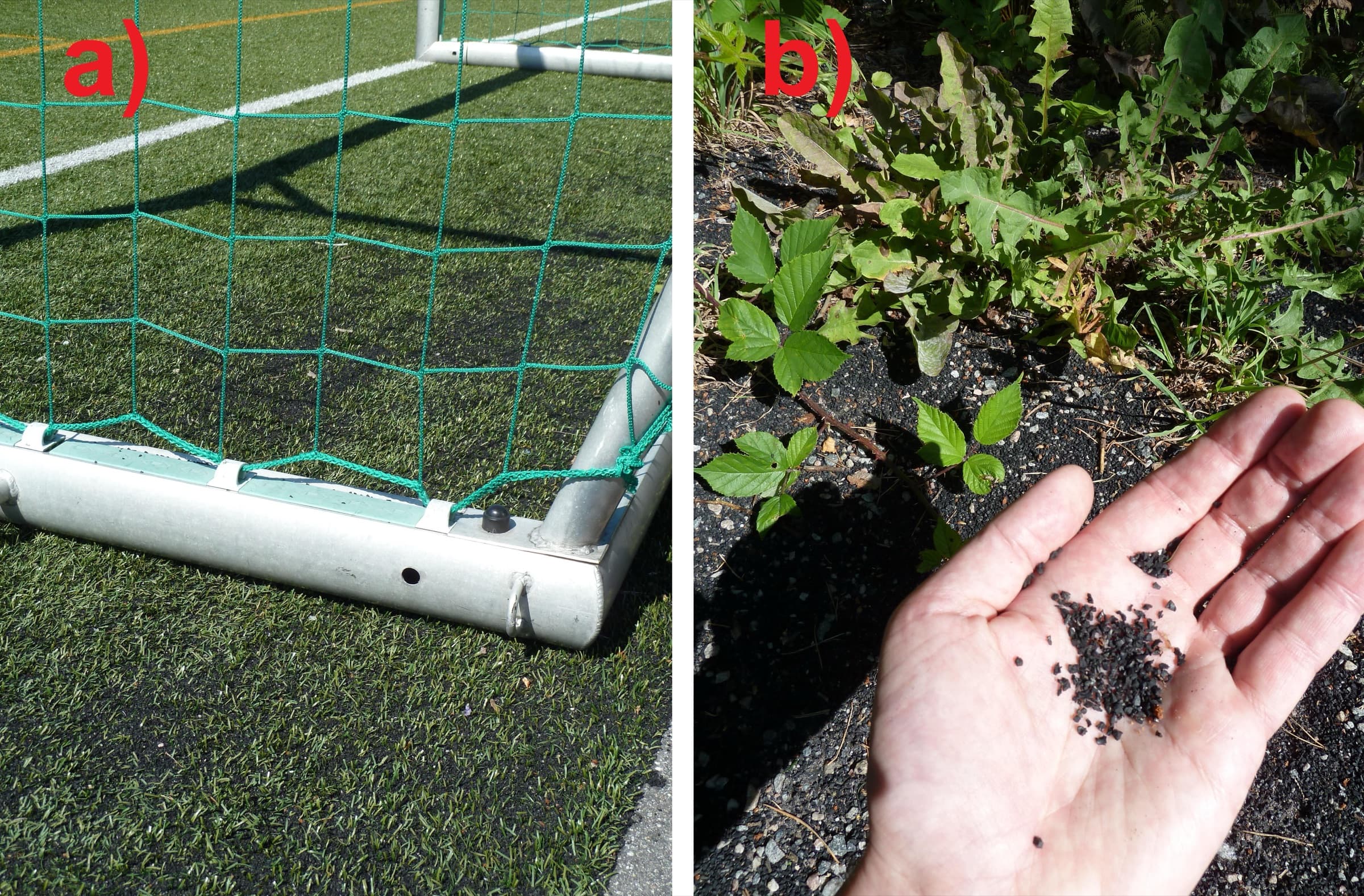 Left: an artificial turf pitch filled with black rubber crumb. Right: a hand holding rubber crumb granules found in soil beside a stream