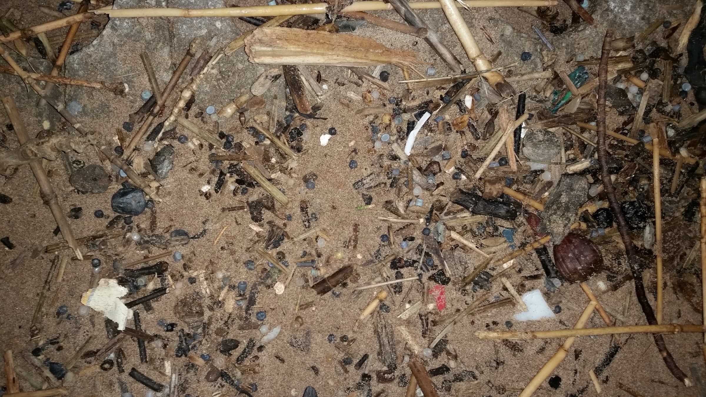 Pale plastic pellets mixed through dried seaweed and sand along a beach strandline