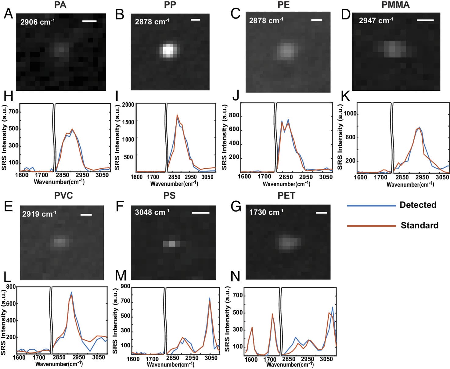 Seven microscope images of individual sub-micrometre particles, each paired with a spectrum matching a plastic standard